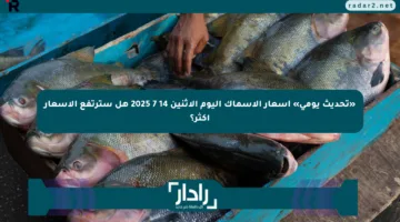 «تحديث يومي» أسعار الأسماك اليوم الإثنين 14 7 2025 هل سترتفع الأسعار أكثر؟